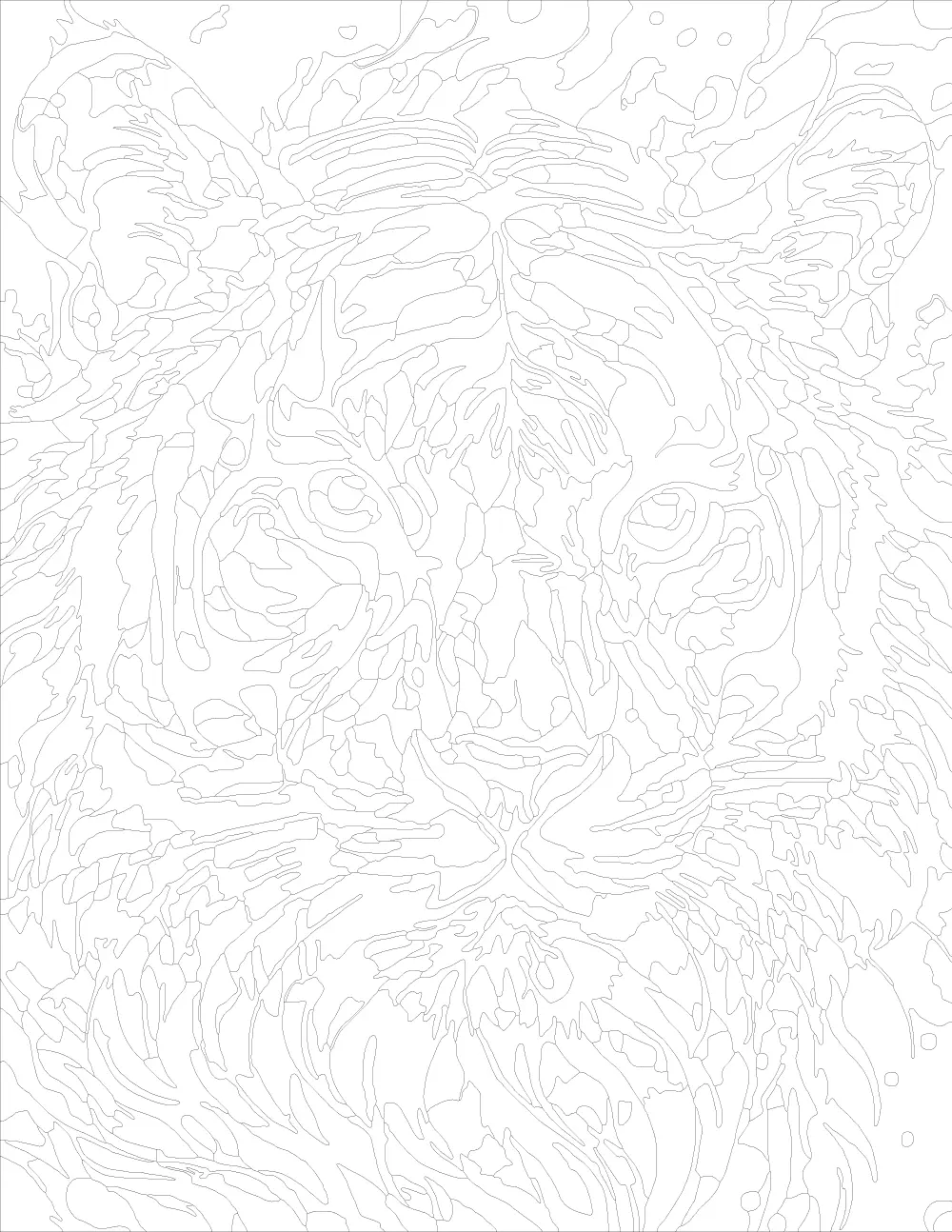 Colorful Tiger Portrait Outline Version