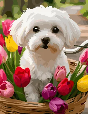 Maltese Puppy in a Bicycle Basket Full of Tulips full-color version