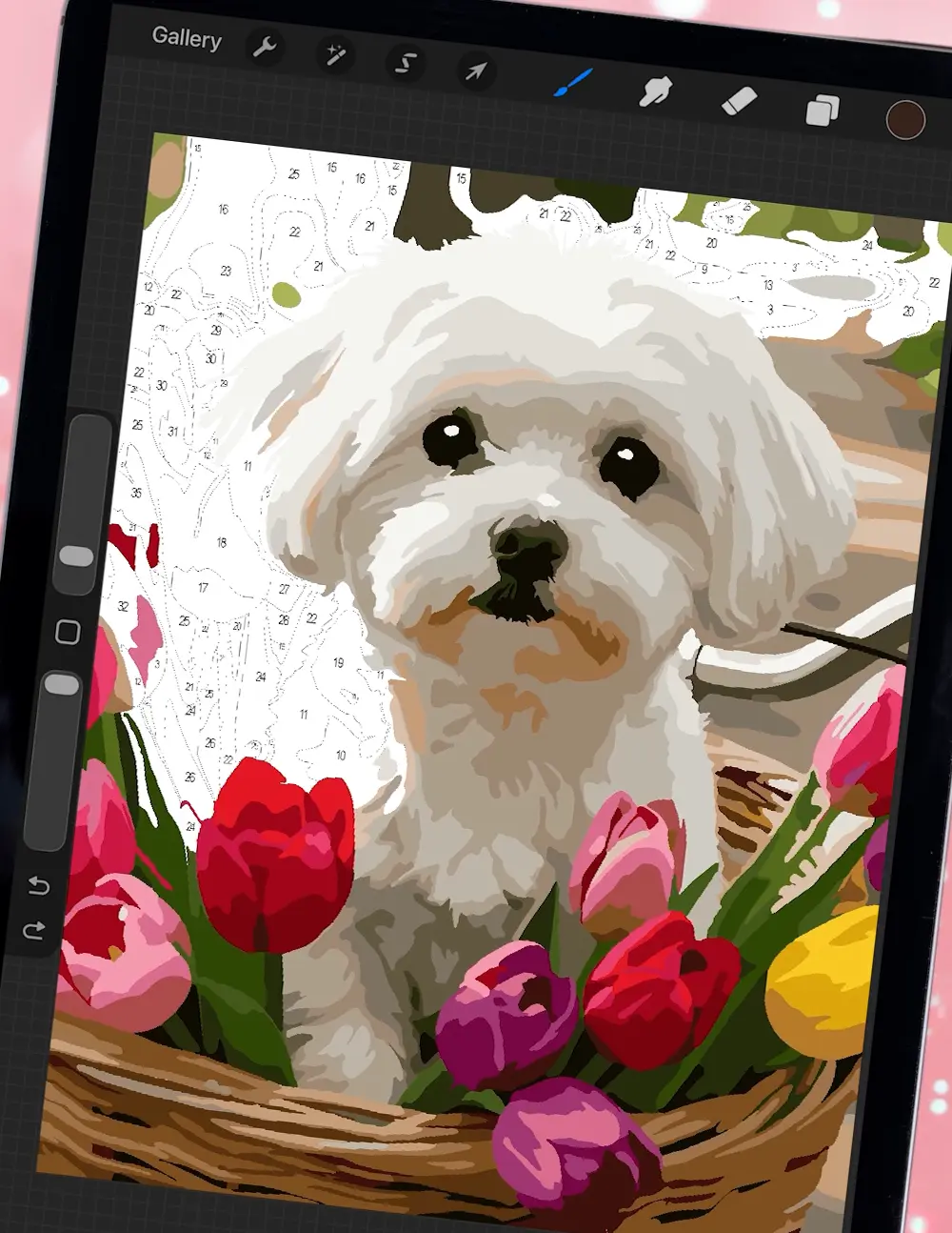 Maltese Puppy in a Bicycle Basket Full of Tulips video thumbnail