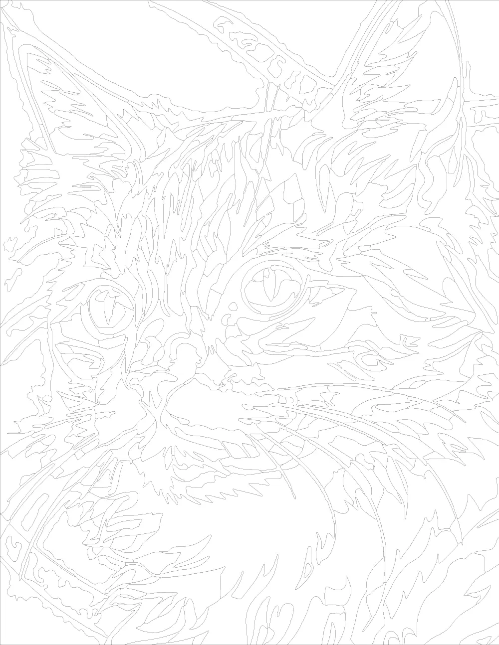 Teal Cat Portrait with Golden Eyes Outline Version